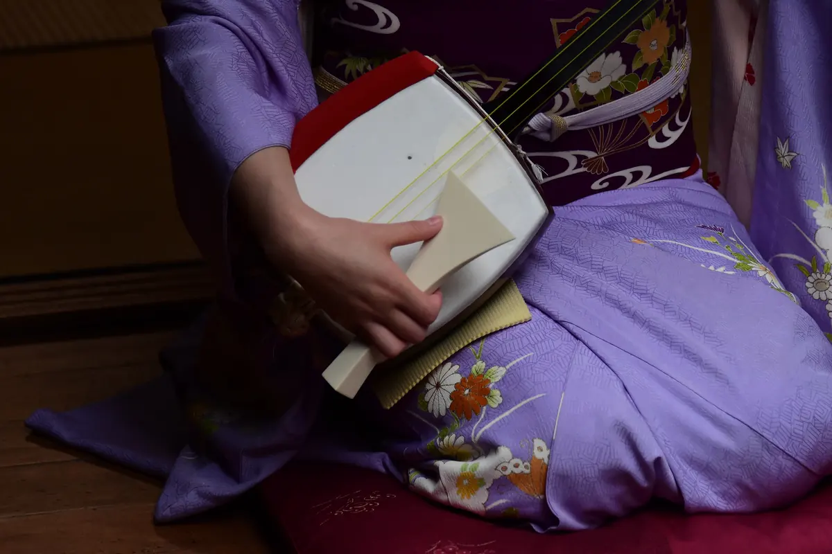 Žena v šeříkovém kimonu drží na klíně šamisen, jehož tělo podobné bubnu je potaženo bledou kůží